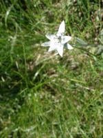 Single-Wanderreise Brenta-Dolomiten & Trentino – Nord-Italien (197).JPG