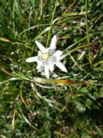 Single-Wanderreise Brenta-Dolomiten & Trentino – Nord-Italien (199).JPG