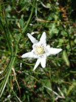 Single-Wanderreise Brenta-Dolomiten & Trentino – Nord-Italien (203).JPG