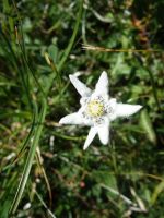 Single-Wanderreise Brenta-Dolomiten & Trentino – Nord-Italien (205).JPG