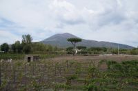 Landschaft am Fuße des Vesuv