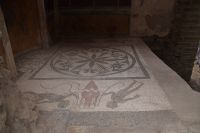 Haus des Kryptoportikus