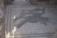 Cavete canem! Vorsicht bissiger Hund!