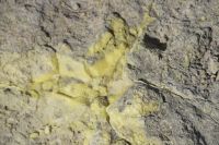 Schwefelablagerungen am den Fumerolen des Vulcano-Vulkans