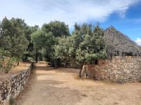 Hirtenessen im Inselinneren bei Orgosolo