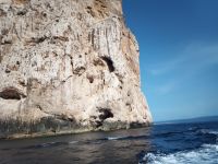 Capo Caccia - Ausflug zur Neptungrotte