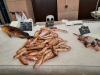 Ajaccio - korsische Spezialitäten vom Markt