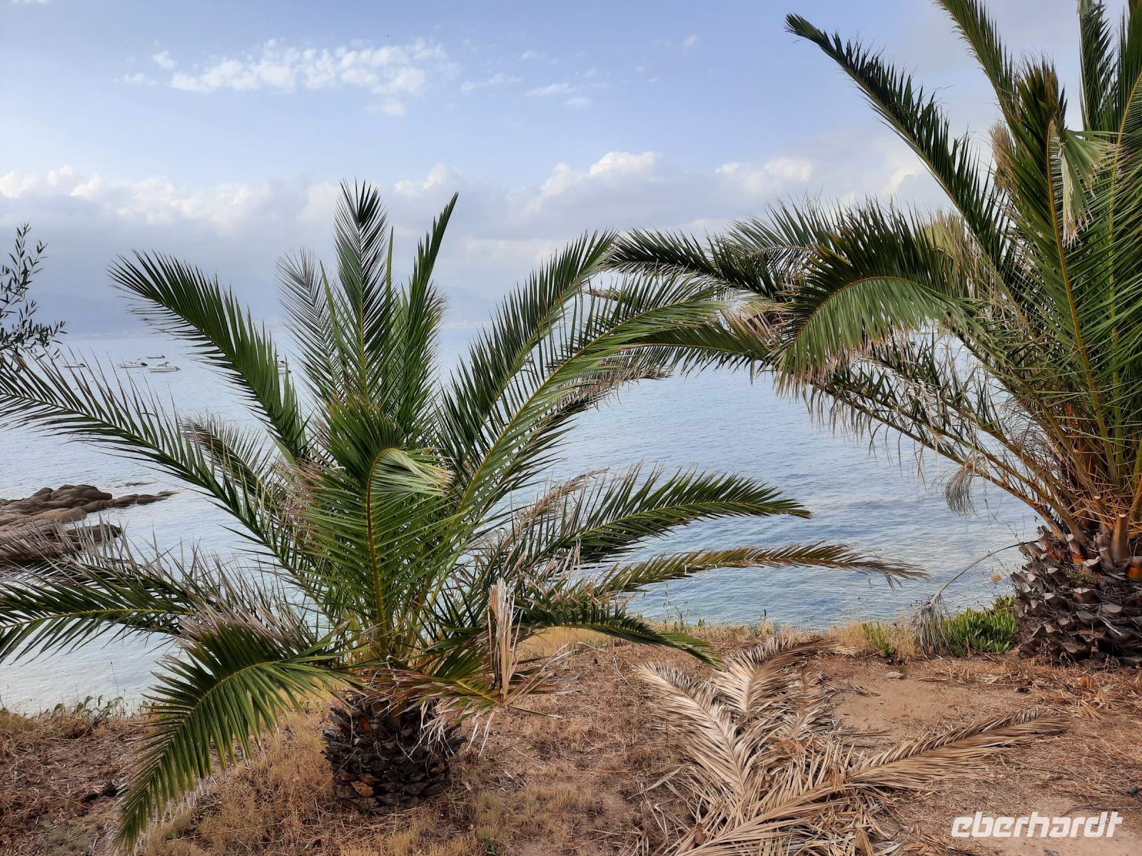Golf von Ajaccio - Porticcio