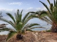 Golf von Ajaccio - Porticcio