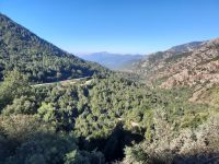 Fahrt von Porticcio nach Corte - Gravona-Tal