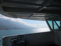  Kitesurfer auf dem See