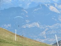  Drachenflieger auf dem Monte Baldo