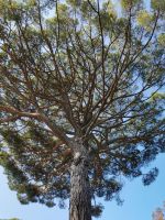 2-2f 20210912 095125