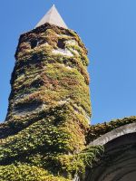 2-2f 20210912 102427