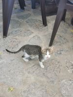 2-2h 20210912 130747