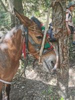 2-2j 20210912 143906