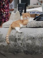 2-2ld 20210912 183733