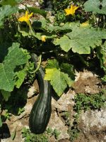 3-2a 20210913 091707