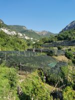 3-2a 20210913 095234