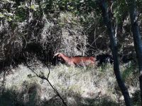 3-2c 20210913 103513