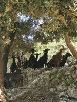 3-2d 20210913 110628