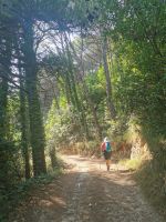 3-6a 20210913 152334