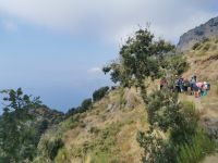 4-2d 20210914 103636