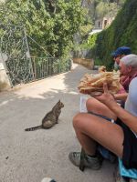 4-3b 20210914 125447