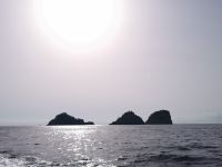 4-4da 20210916 092406