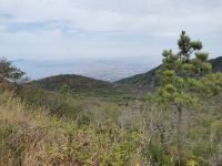 5-1a 20210915 102317