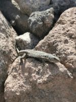 5-3de 20210915 122051