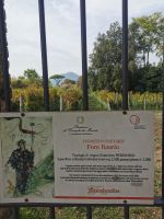 5a-1b 20210915 155813