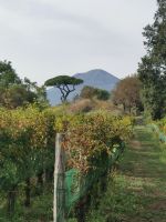 5a-1b 20210915 155827