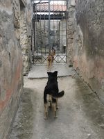 5a-6 20210915 170615