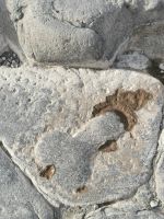 5a-10a 20210915 171351