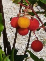 6-12 20210916 114653