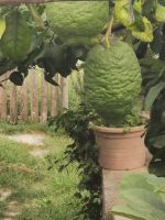 6-12c 20210916 115045