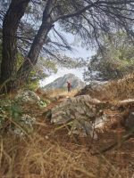 6-13h 20210916 123023