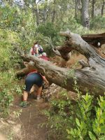 6-13m 20210916 125046