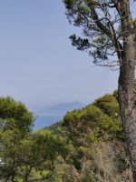 6-13p 20210916 130956