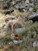 7-1ha 20210917 093914