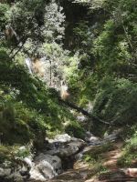 7-1p 20210917 105229