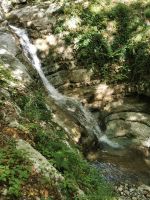 7-2f 20210917 110942