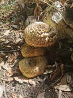 7-2n 20210917 112724