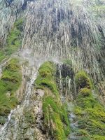 7-2s 20210917 115714