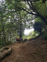 7-2u 20210917 120845