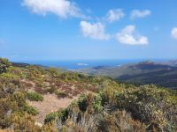 Cap Corse - Blick zur Insel Giraglia