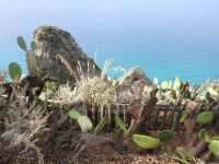 Capo Vaticano Kalabrien 