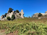 Was man wohl dort sieht?