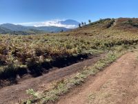 Und da ist der Ätna wieder!